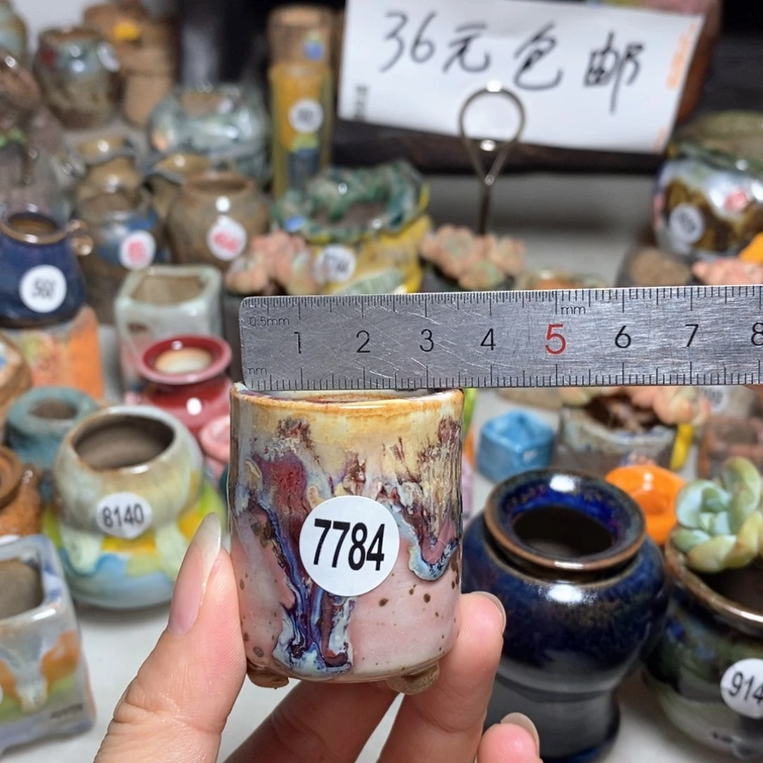 拍5送一个小礼物