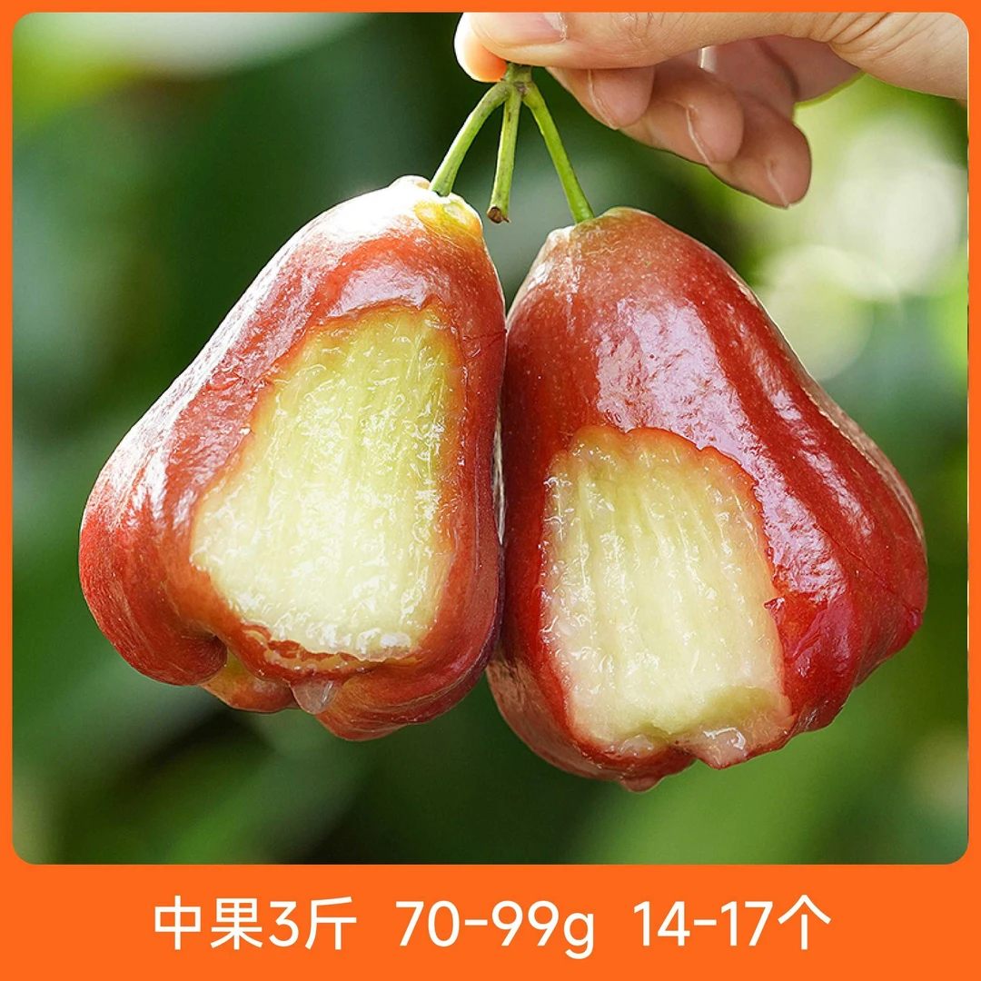 辰颐物语 海南黑金刚莲雾3斤装