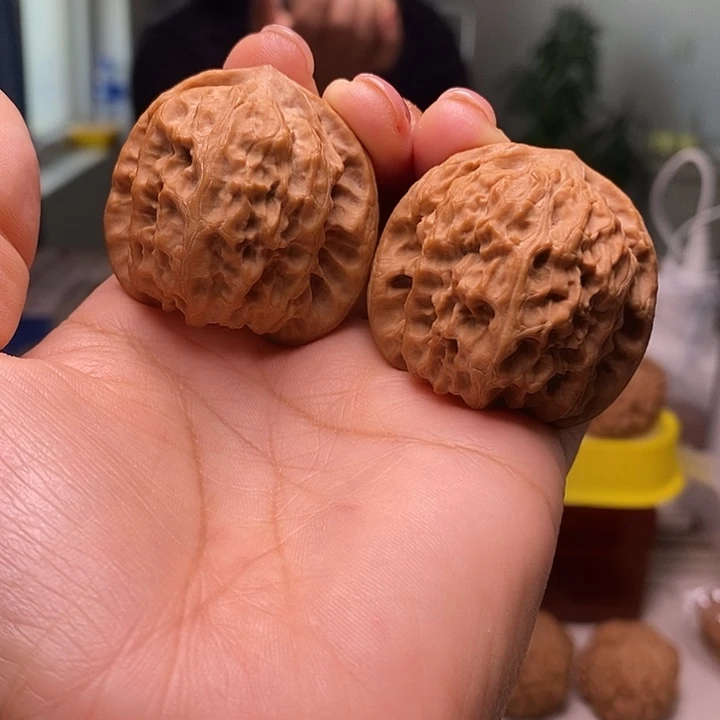 核桃42尺寸的野狼