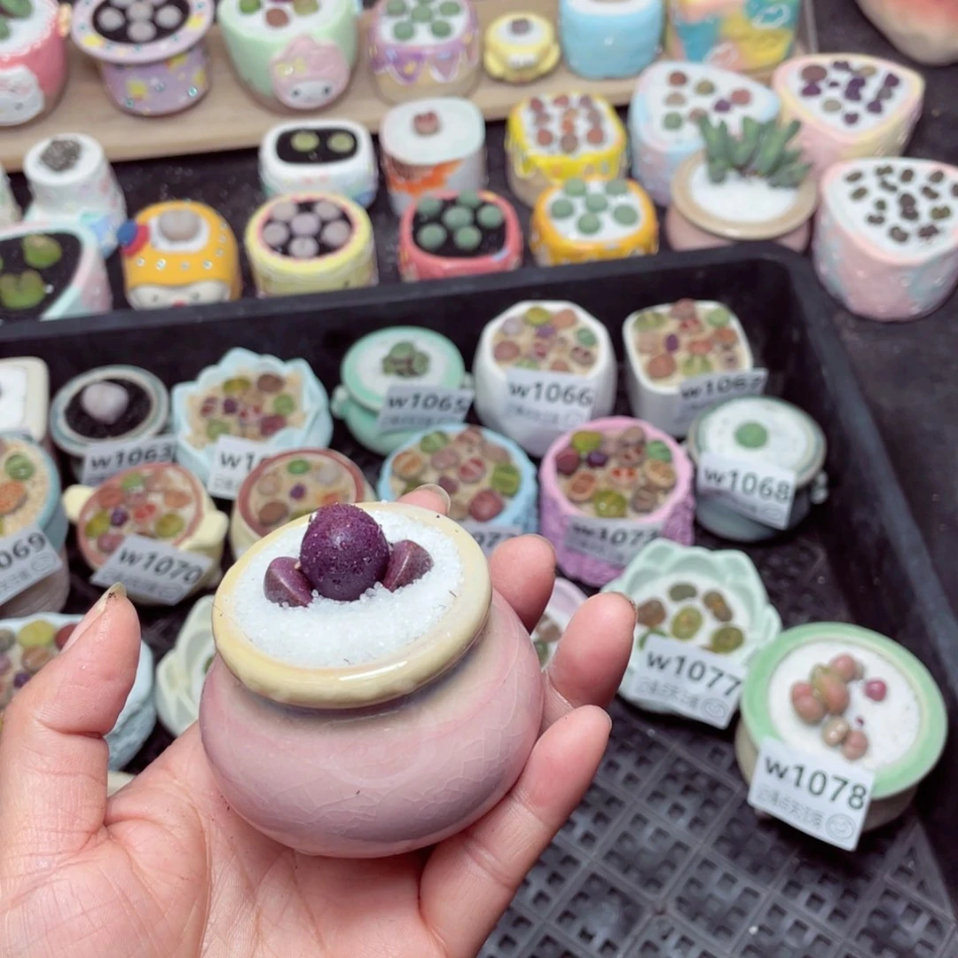 w1080 -零下地区拍保温箱-15支持寄养