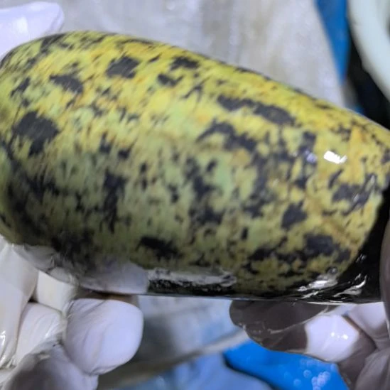 华***哥木藏玉药王石原石一个