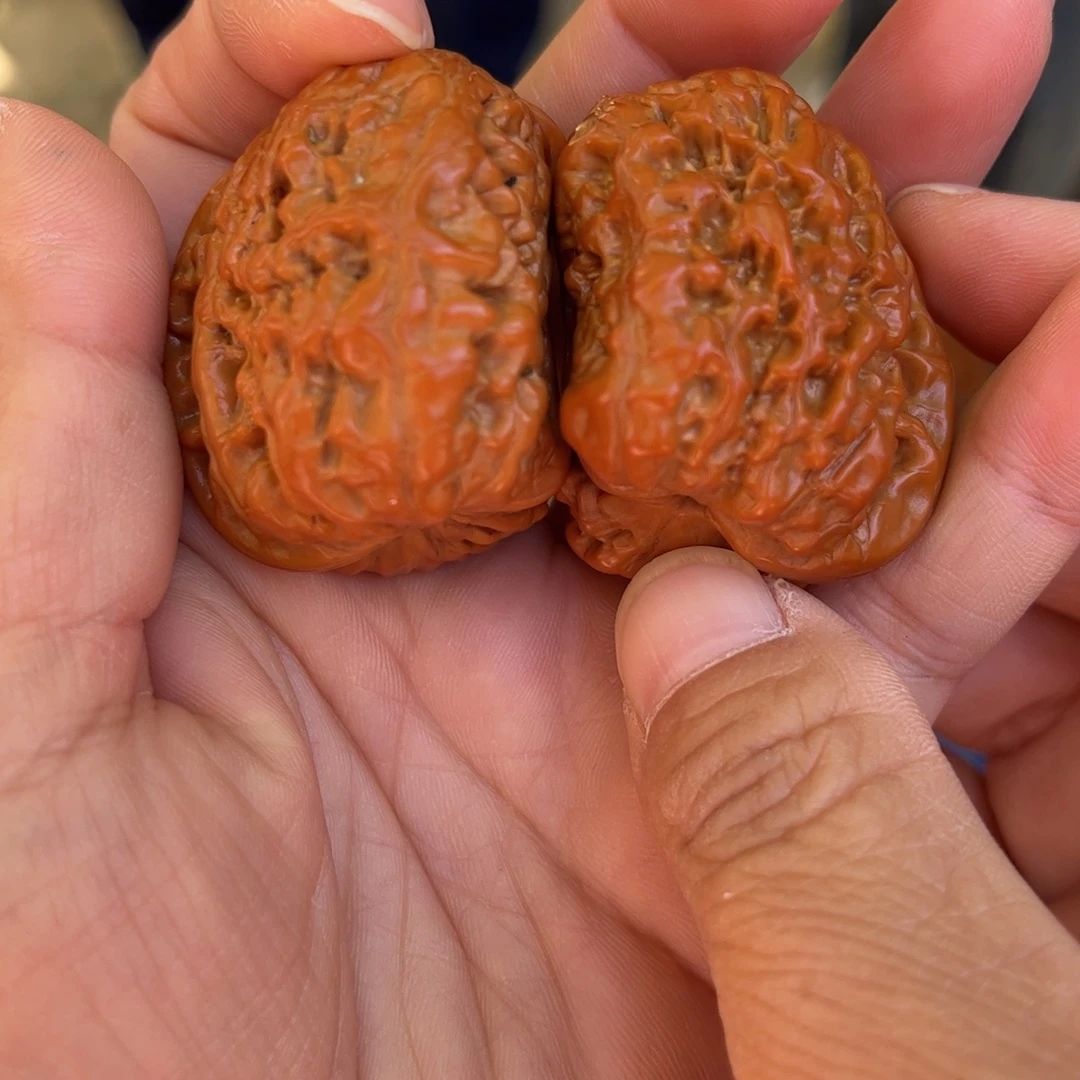 座山雕核桃全品精选高货