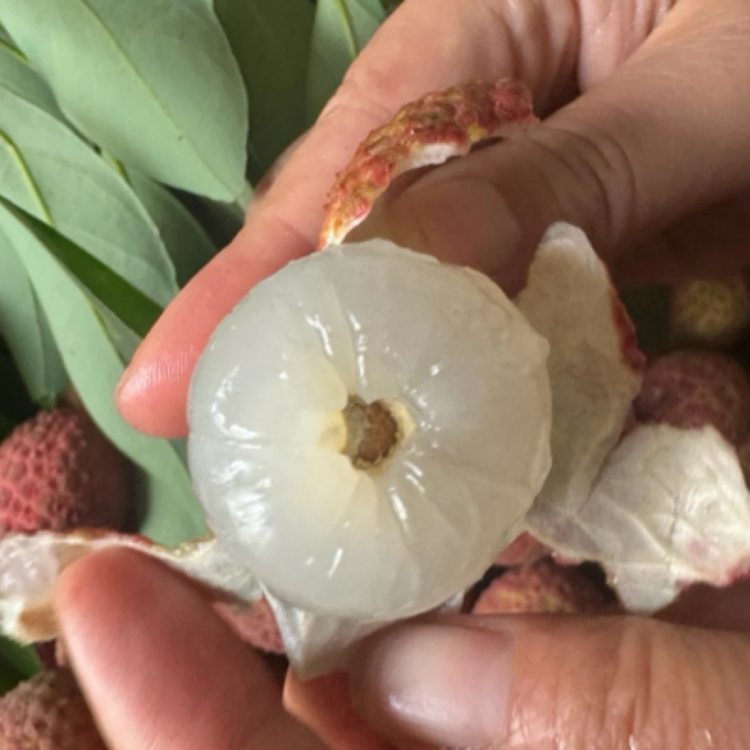 云南头茬当季现摘白蜡甜荔枝