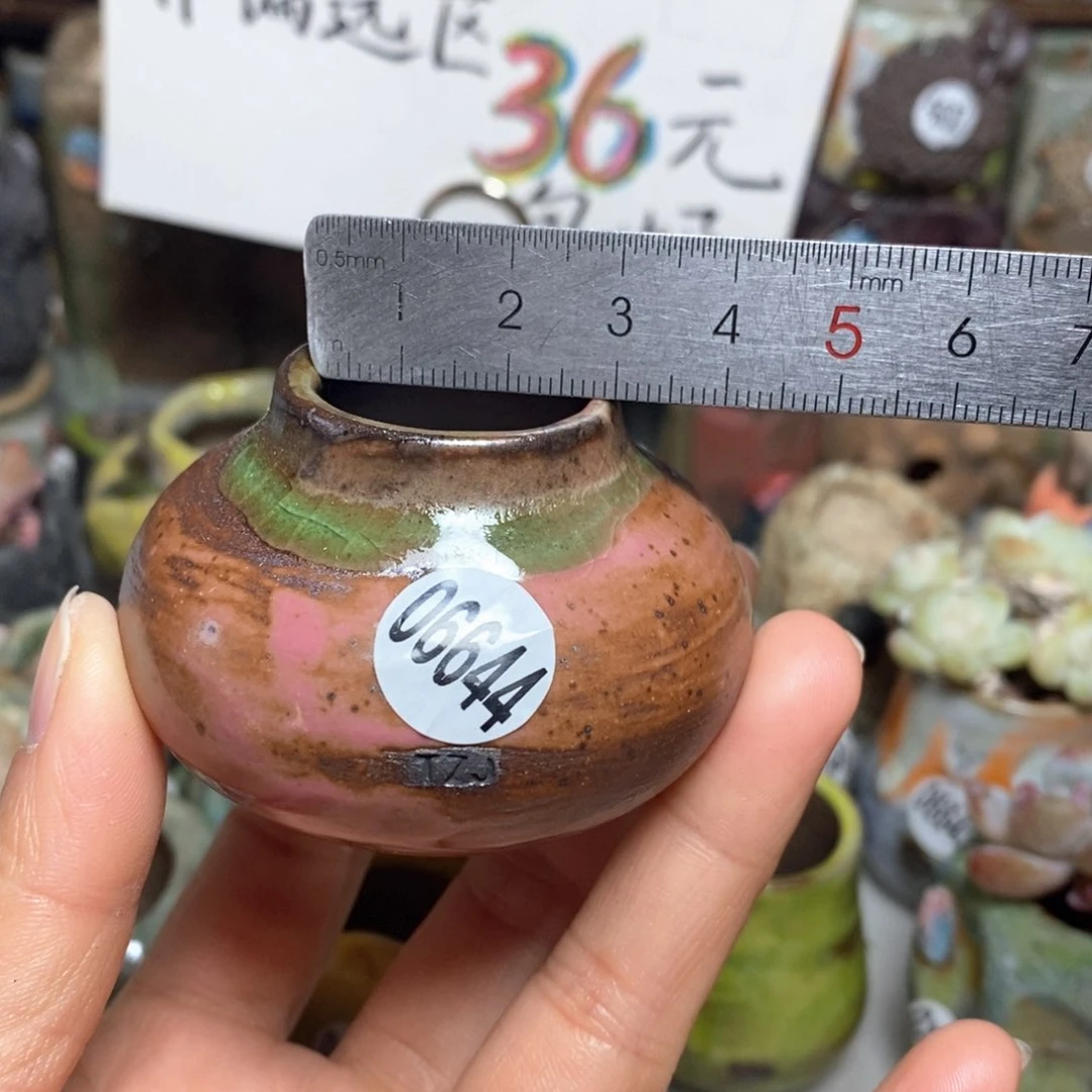 花盆拍3送一个小礼物