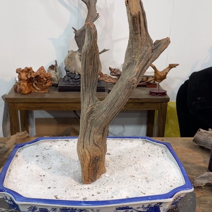 刚***你我们都是好孩子呀