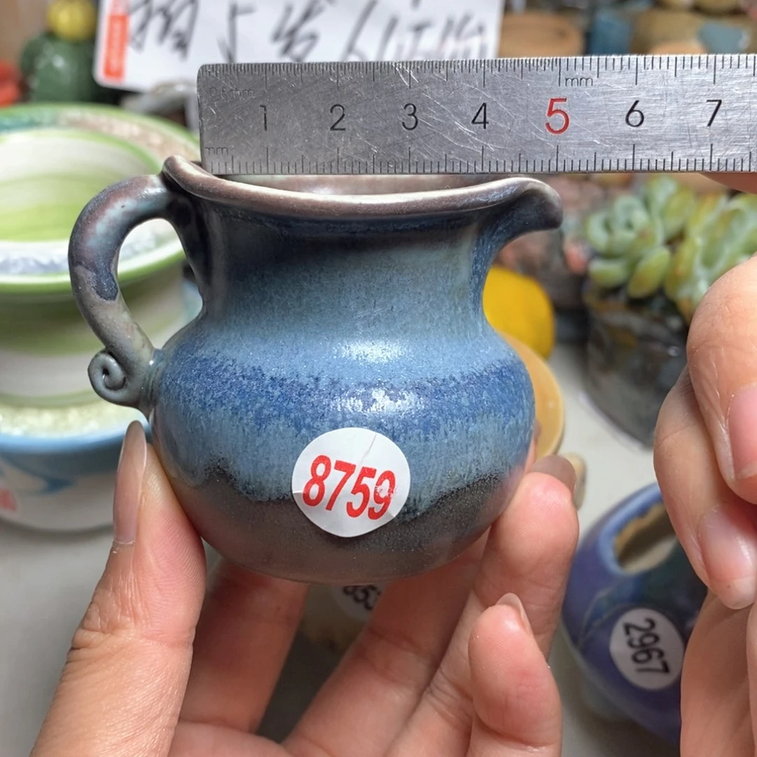 拍5送一个小礼物