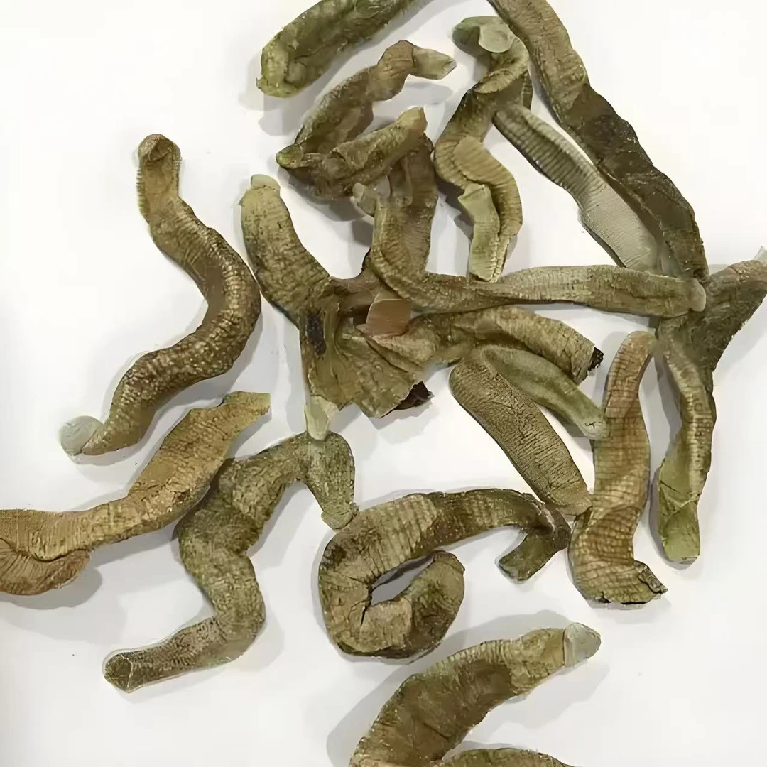 精选道地产区广西菲牛水蛭冻干粉 高含量 中老年必备