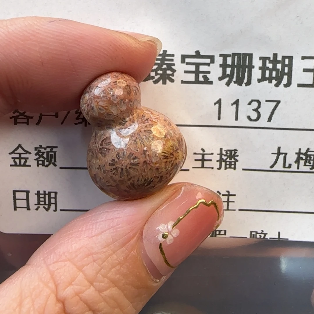 硅化珊瑚（珊瑚玉）未镶嵌颈饰