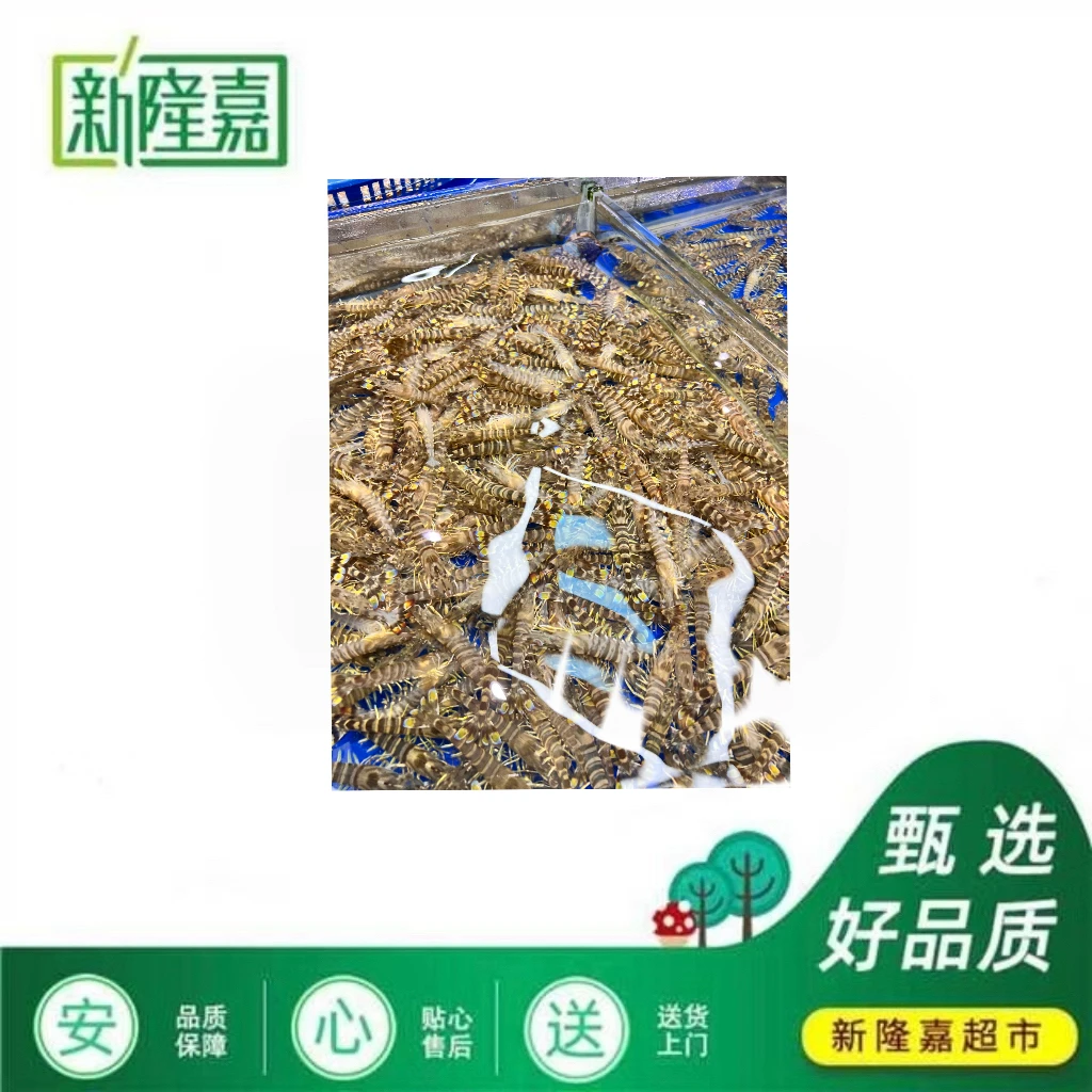 【天丰店 新】基围虾 约1斤/2斤 （同城配送）