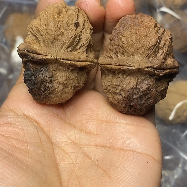 把件文玩核桃云南铁核桃27