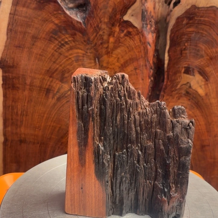 大***好大叶紫檀（黑酸枝木类）