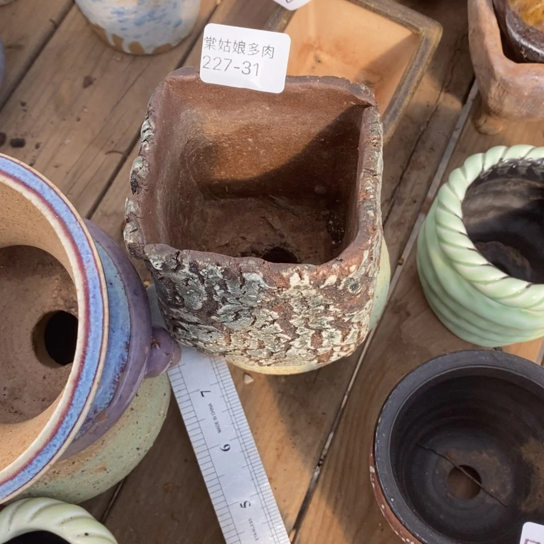 红陶黄*31号多肉花盆一个