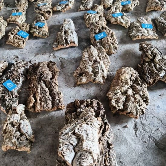 完全开放顺顺利利，平平安安