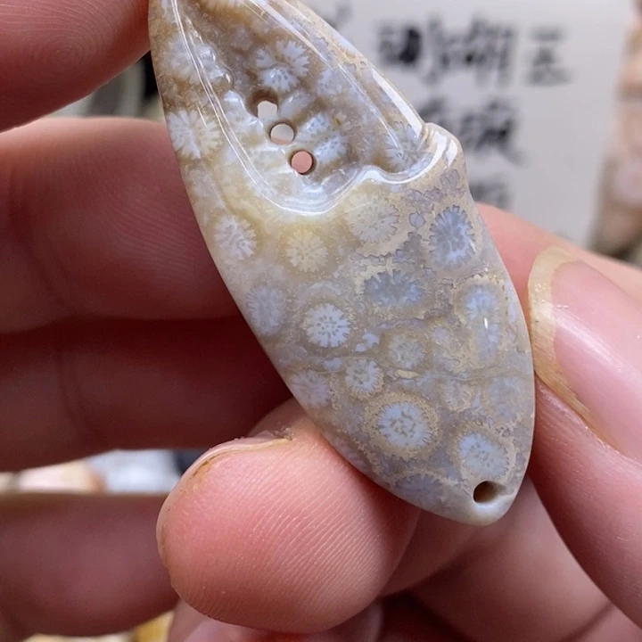 硅化珊瑚（珊瑚玉）未镶嵌颈饰