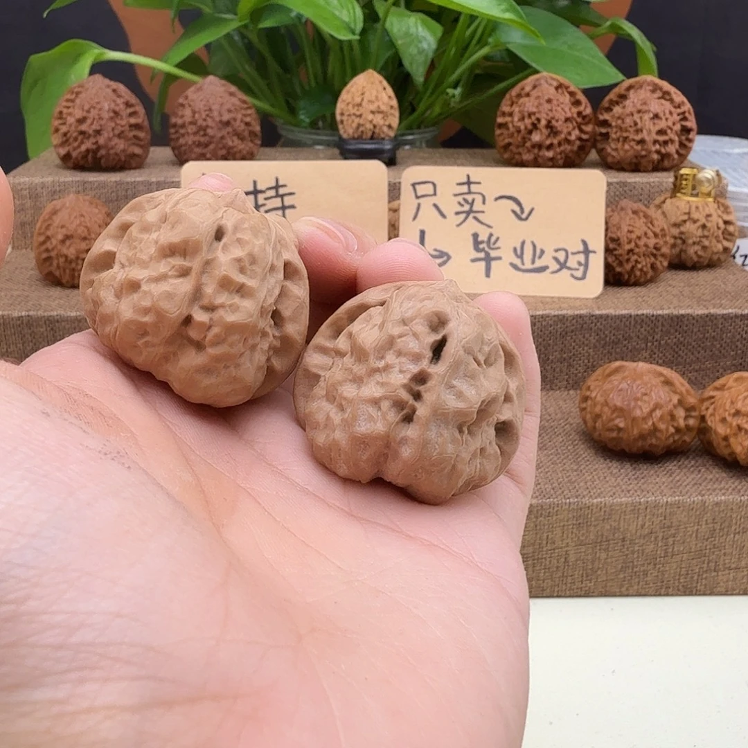 全品蛤蟆头37/39/33