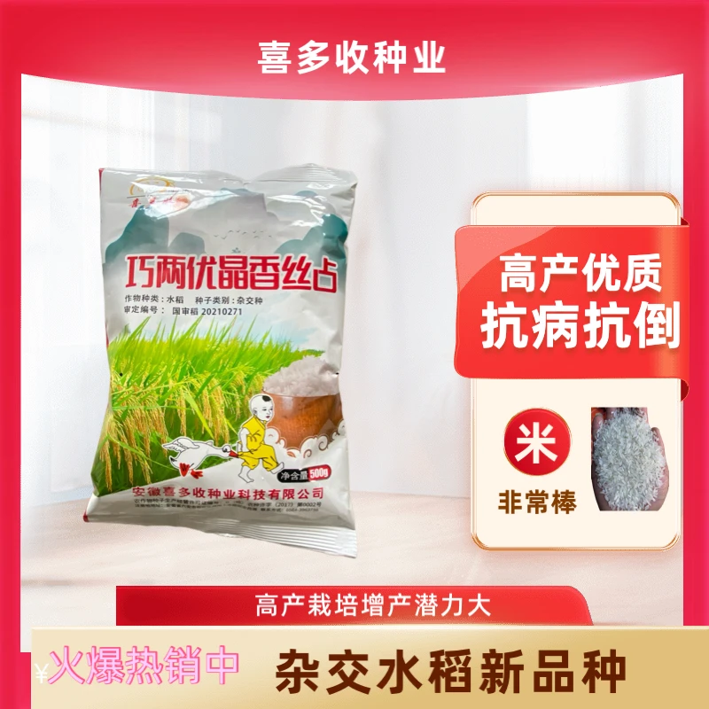 巧两优晶香丝占杂交水稻种子高产耐高温抗病抗倒饭好吃香稻香米