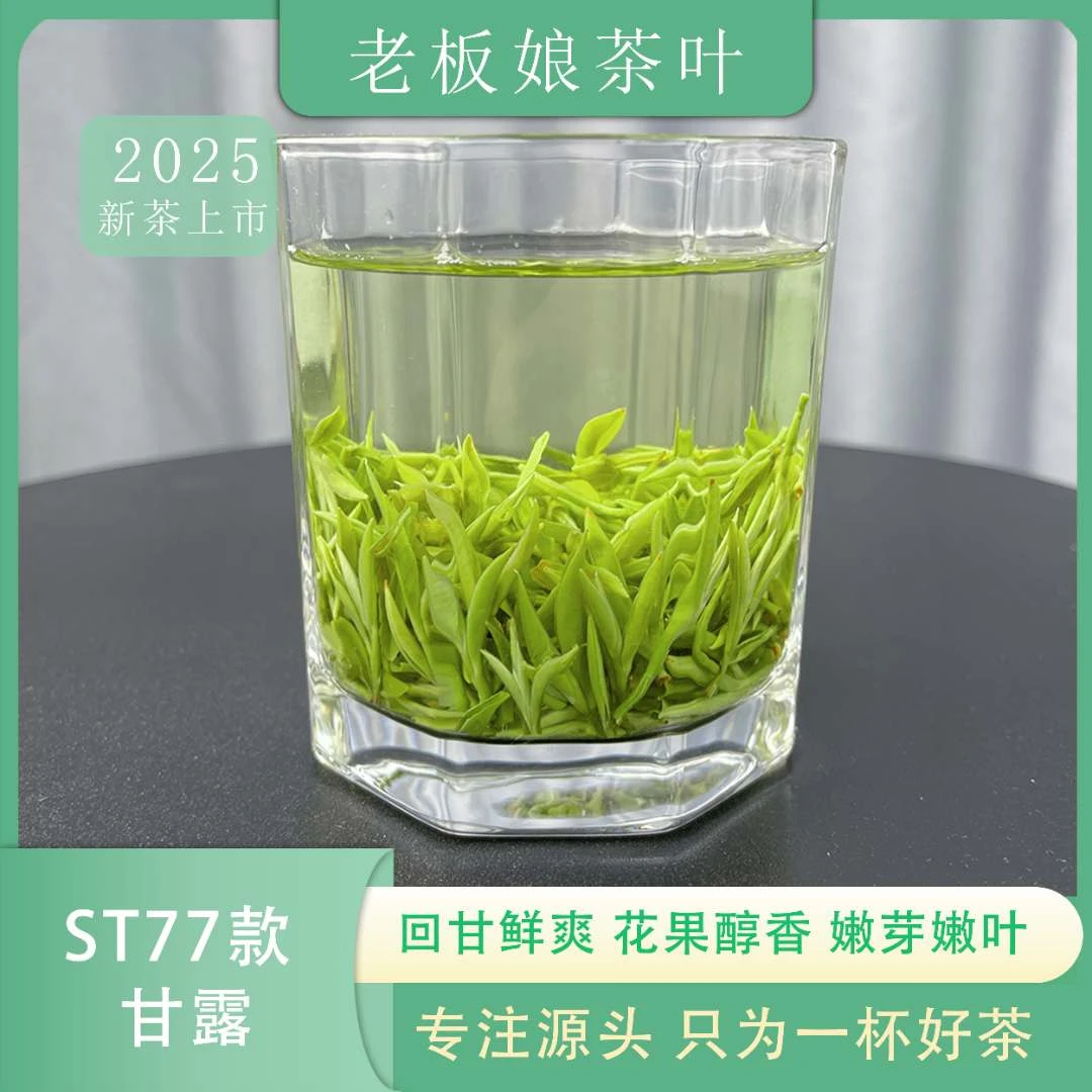 2025年新茶蒙顶山头采嫩芽甘露绿茶  st77花果醇香回甘鲜爽碧螺春