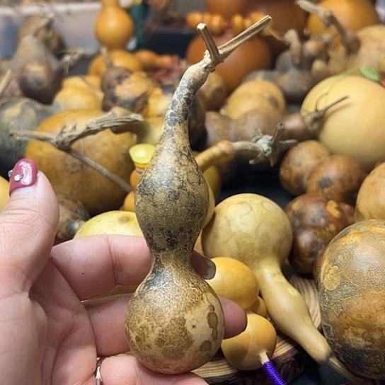 尼*丁葫芦葫芦葫芦葫芦