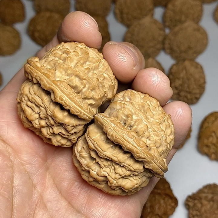 文玩核桃把件香**饭47尺，尖部有黄，三角白