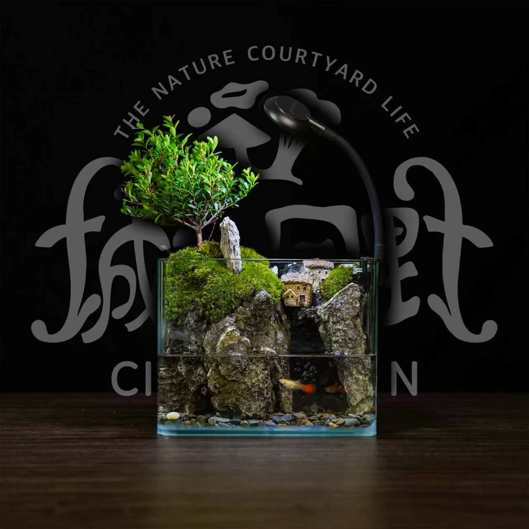 【山野之间】新品-赤楠青龙石室内绿植桌面创意造景缸体20*12*14