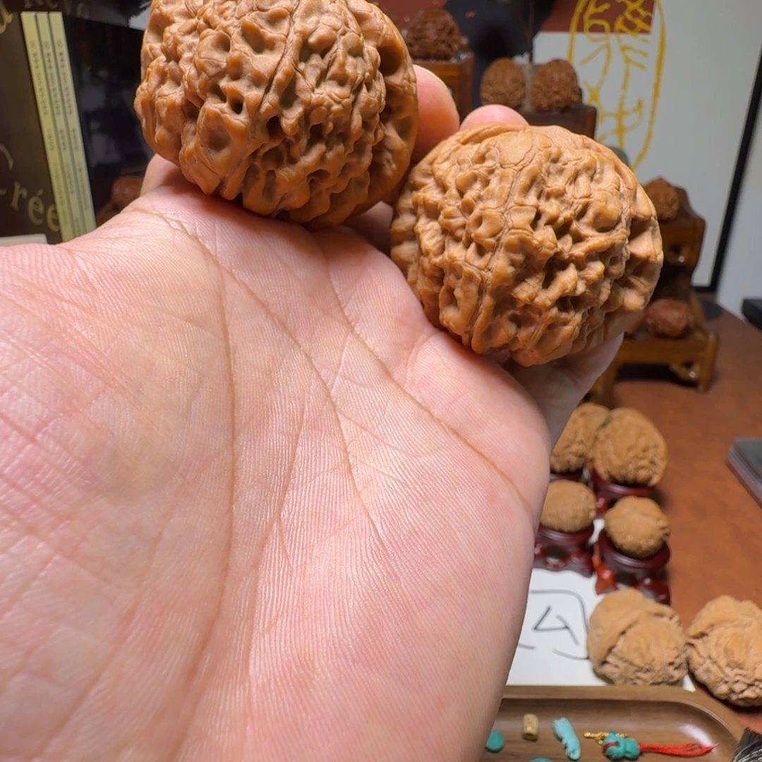 道哥俱乐部f龙鼎51+