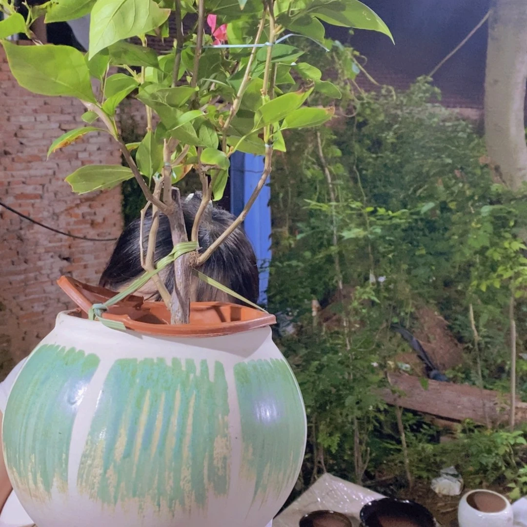 紫砂花盆正品18/20