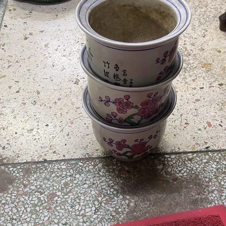 幸***英111111111111111111