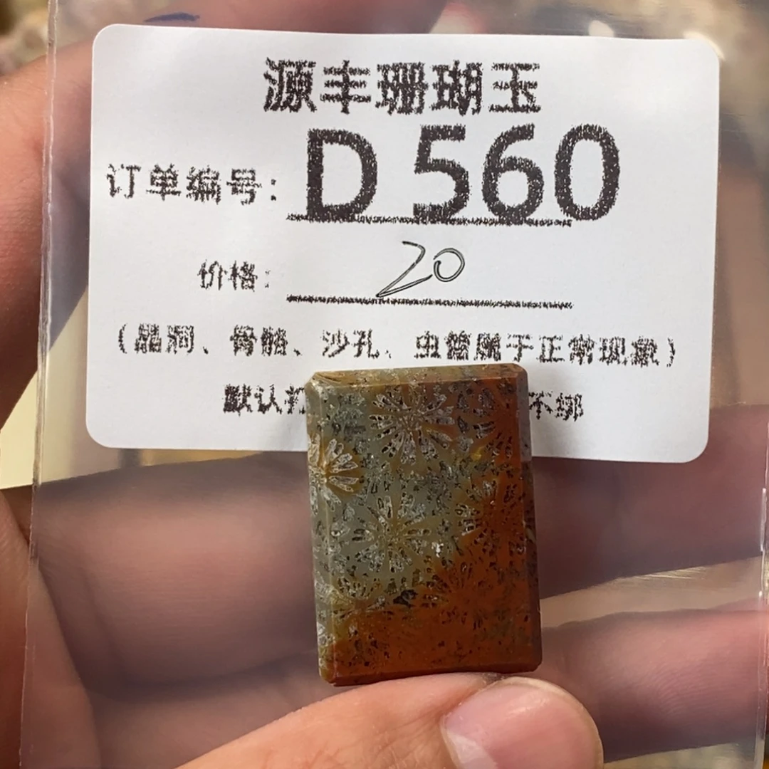 煒***w硅化玉未镶嵌颈饰
