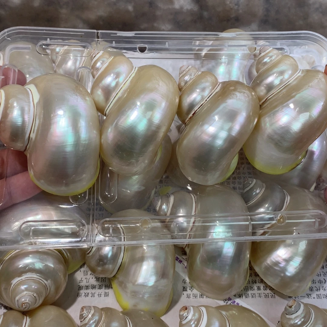 霄***遥4个壳，出售，不退不换