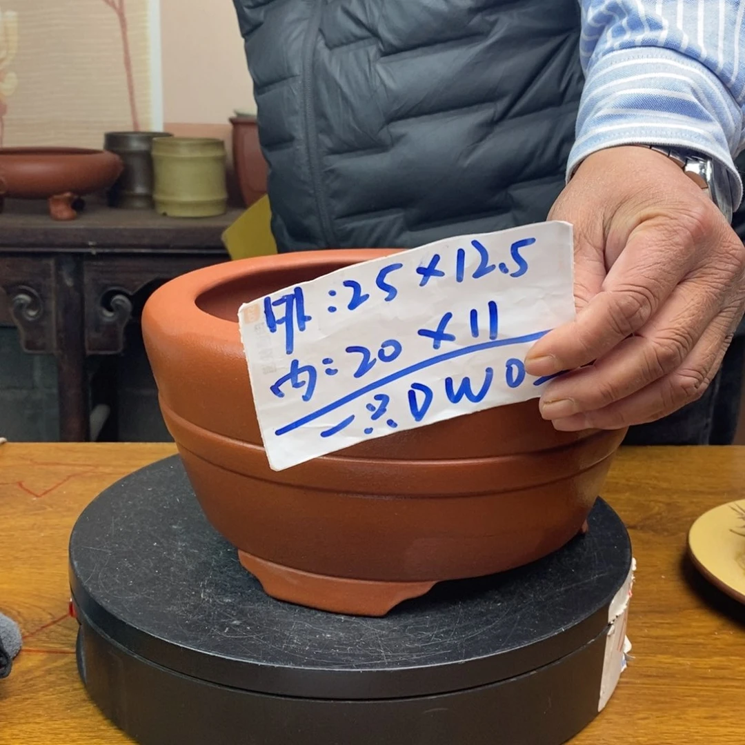 红陶货号一只DW02