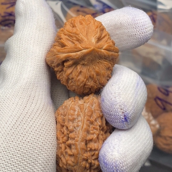 文玩核桃把件A****,大蒜头