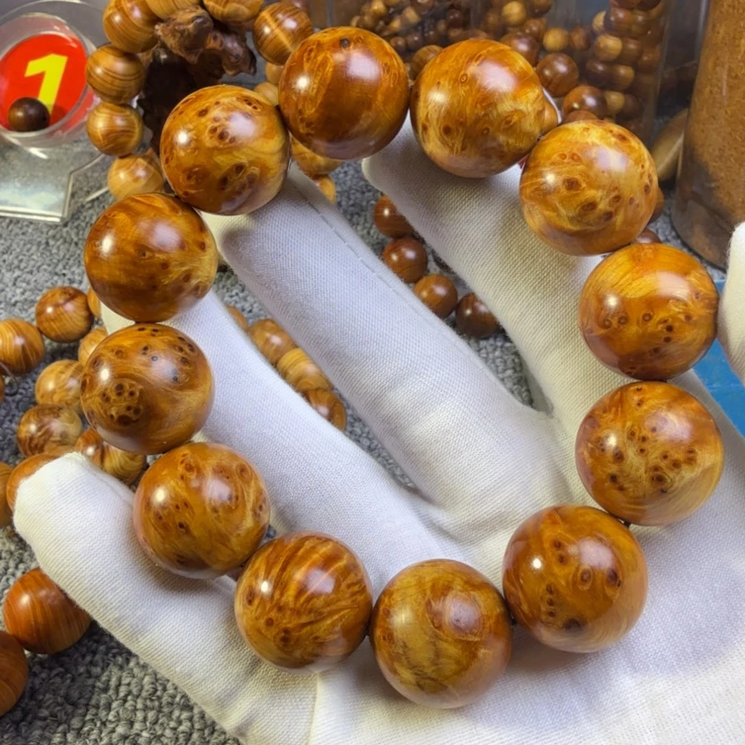 柏木（崖柏）太行崖柏2.0瘤花