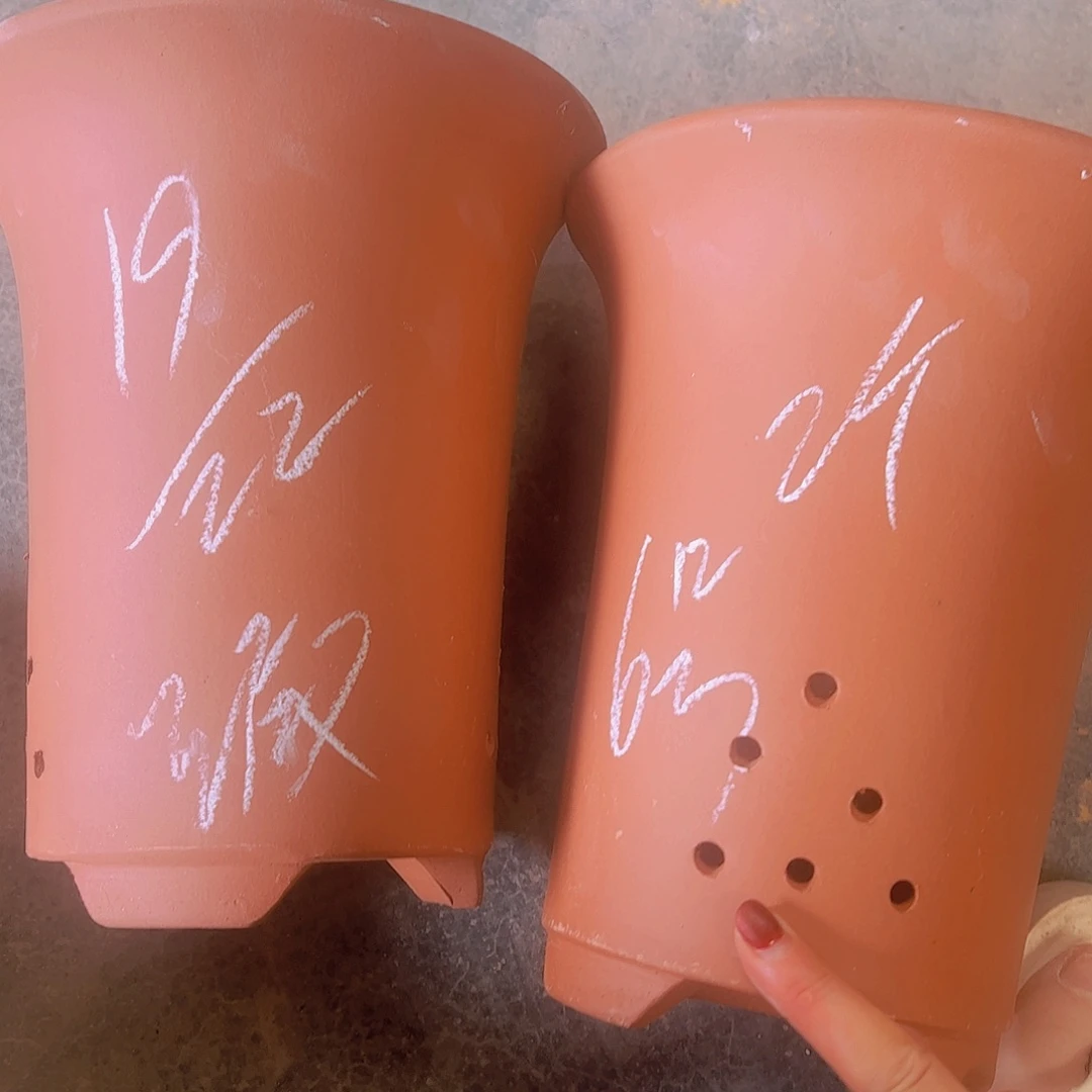 6号。。。。。。。。。。。。。