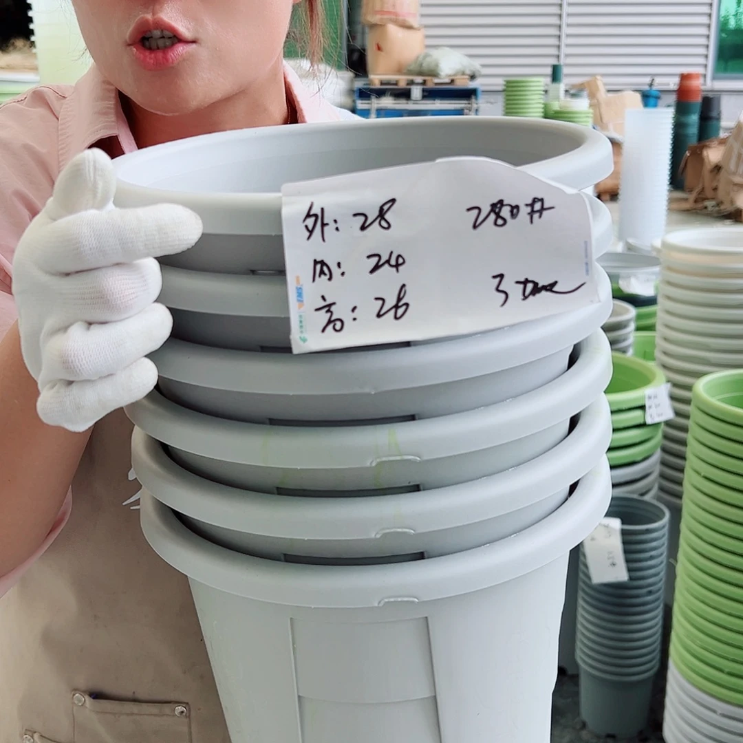 瑕疵玫瑰280#灰白色6个无托