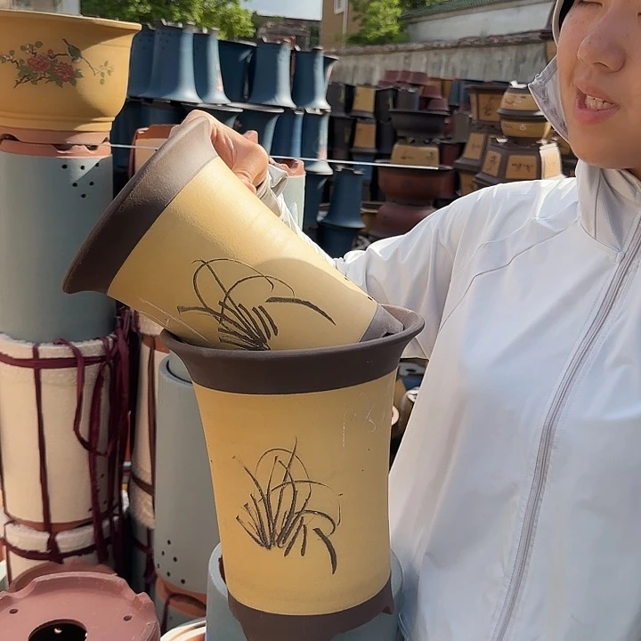 黄色兰花盆花盆18+15花盆