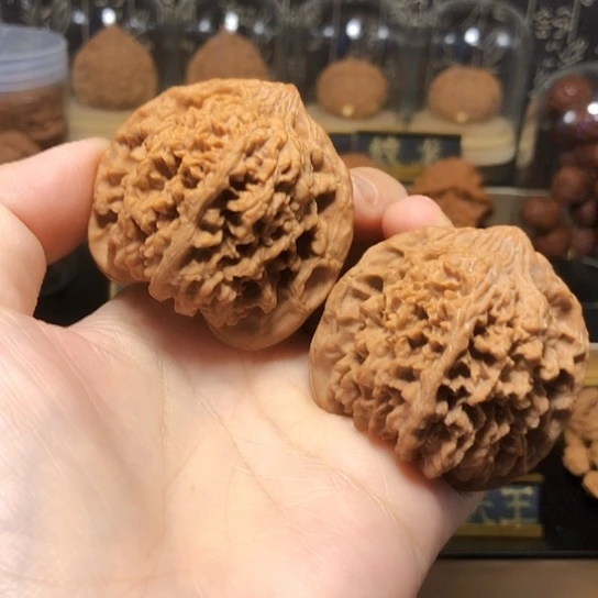 华*精品：满天星货头48尺