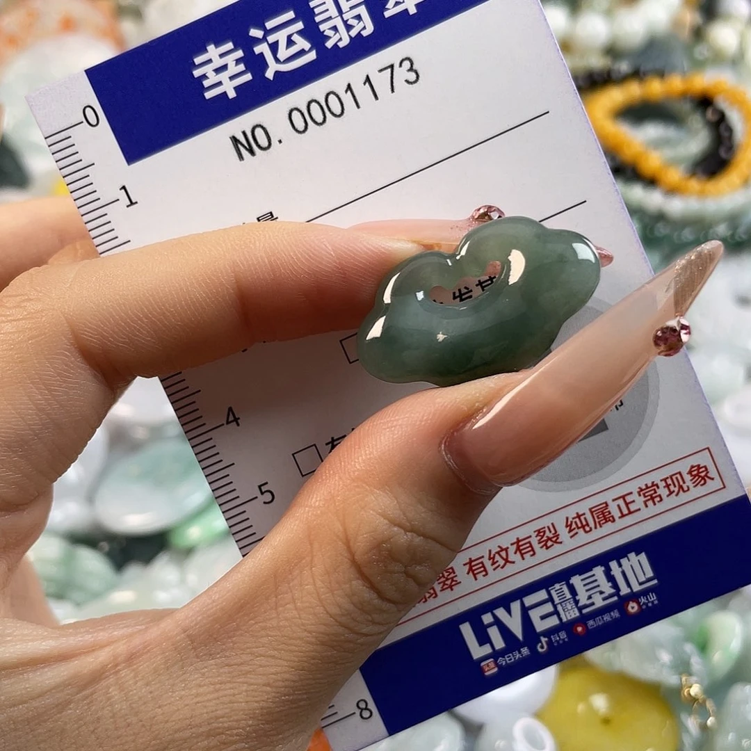 翡翠未镶嵌颈饰hhh