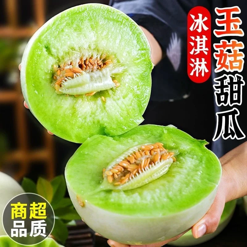 正宗山东玉菇甜瓜新鲜应季水果冰淇淋般爆甜香瓜