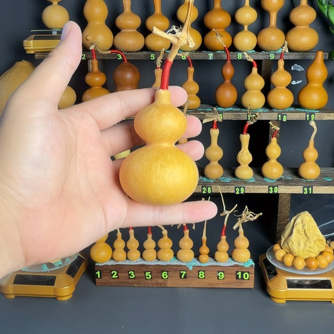 葫芦葫芦葫芦葫芦葫芦葫芦