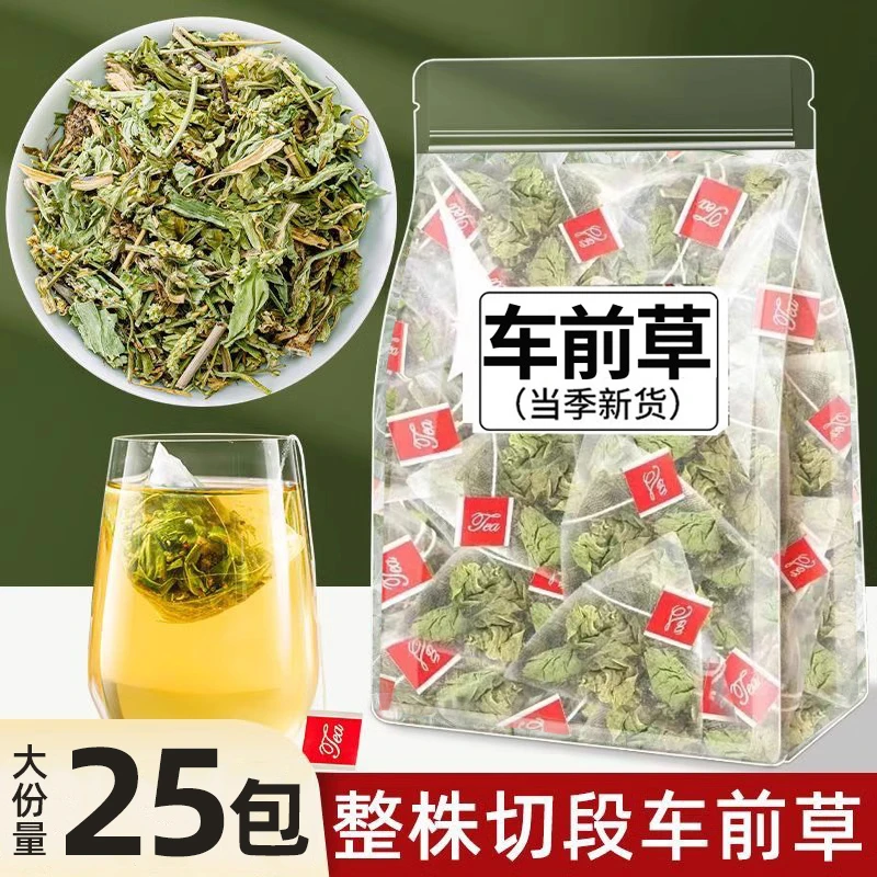 【结结】车草中药材猫爪草泡茶水新鲜干货非野生车前草整株车轮草