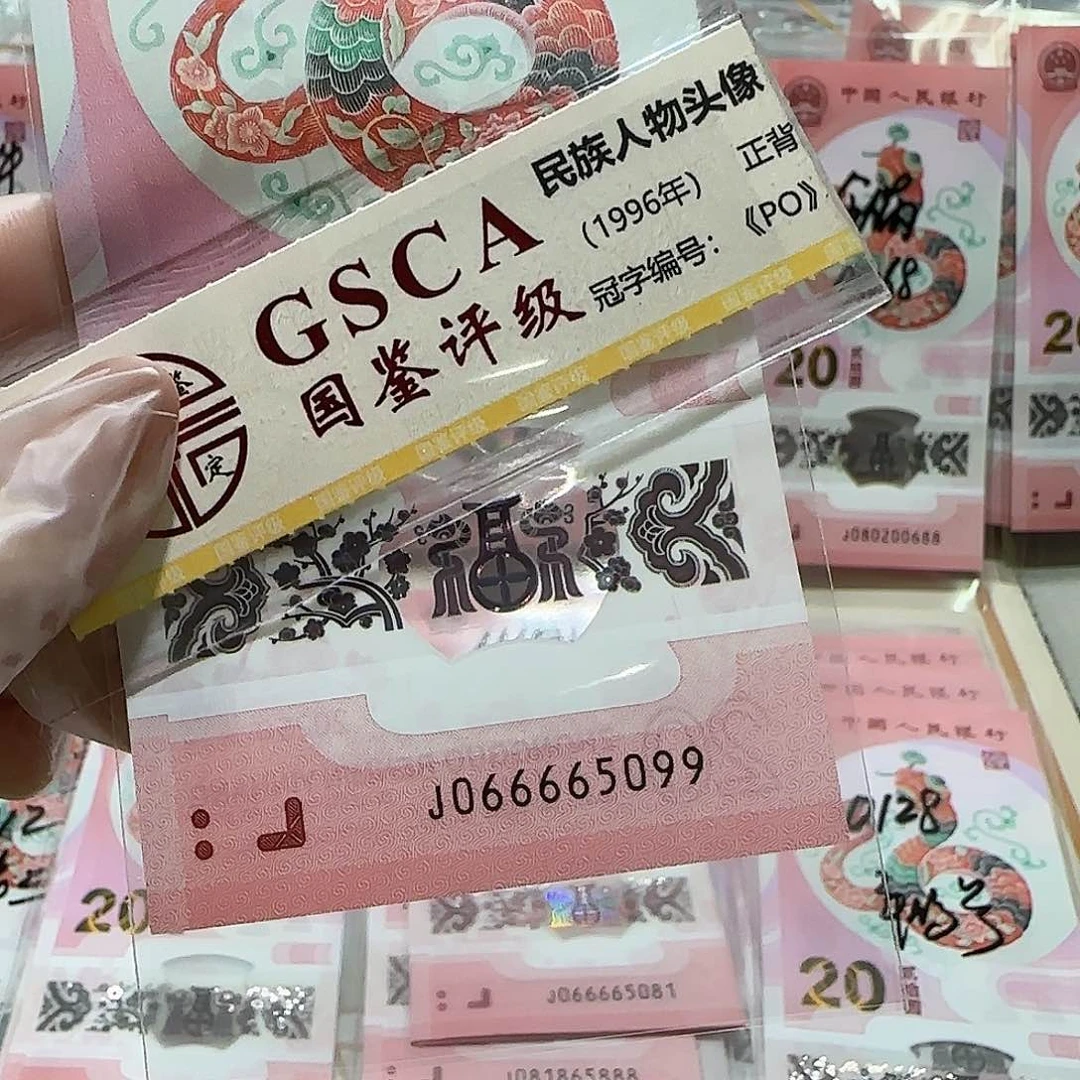 塑料066665099。。。。。金马王