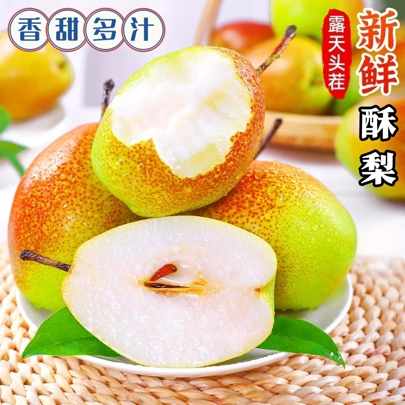 【酥脆香甜多汁】红香酥梨早熟梨子皮薄香梨雪梨新梨当季新鲜水果