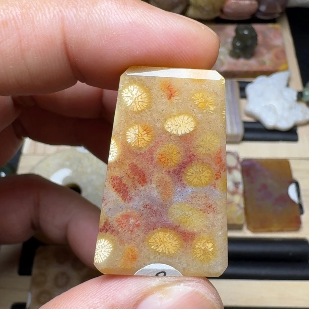 未镶嵌纯天然色有机玉石保真色硅化玉特价