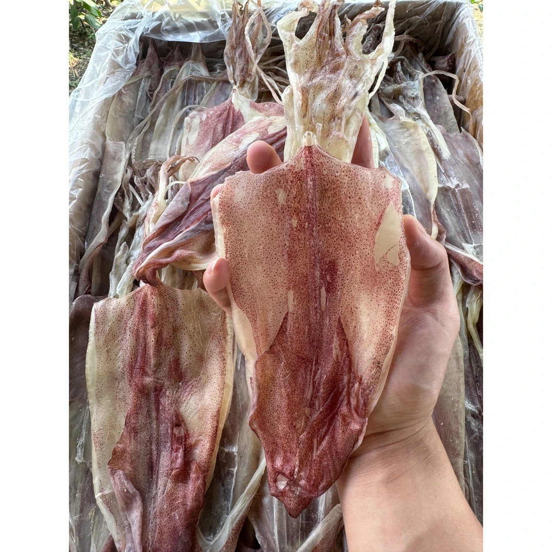 上川岛本地 大吊鱿干鲜鱿大鱿鱼