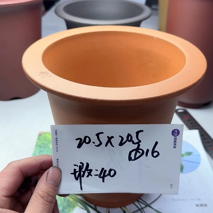 紫砂2222222222222222