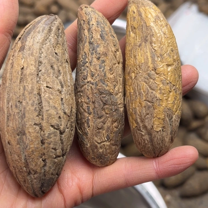 千眼菩提吊坠千眼菩提九十二号。