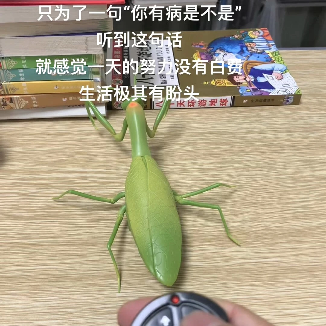 遥控螳螂玩具创意电动红外线整蛊玩具蜘蛛蜜蜂昆虫恶搞小模型