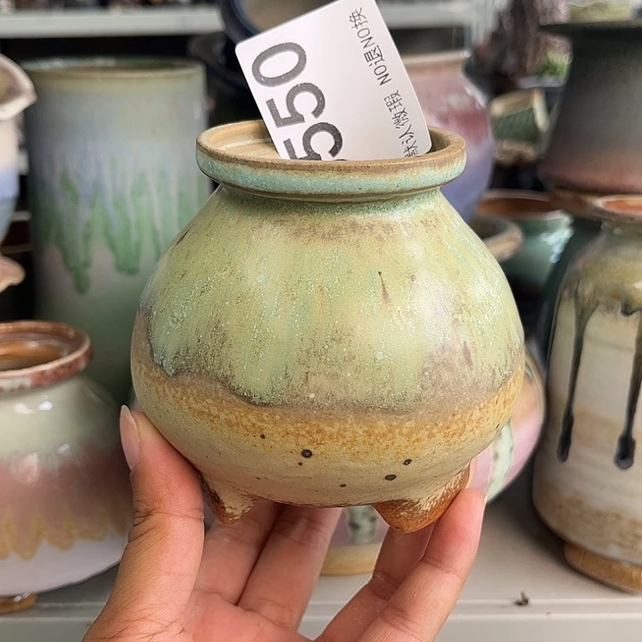 重庆小燕子欢迎大家550