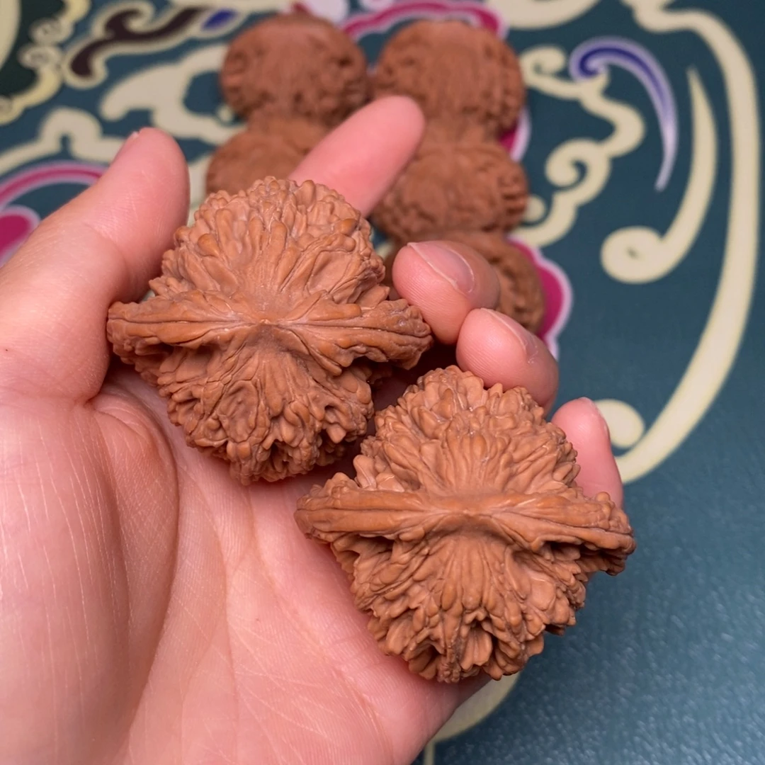 核桃45尺全品麦穗虎头
