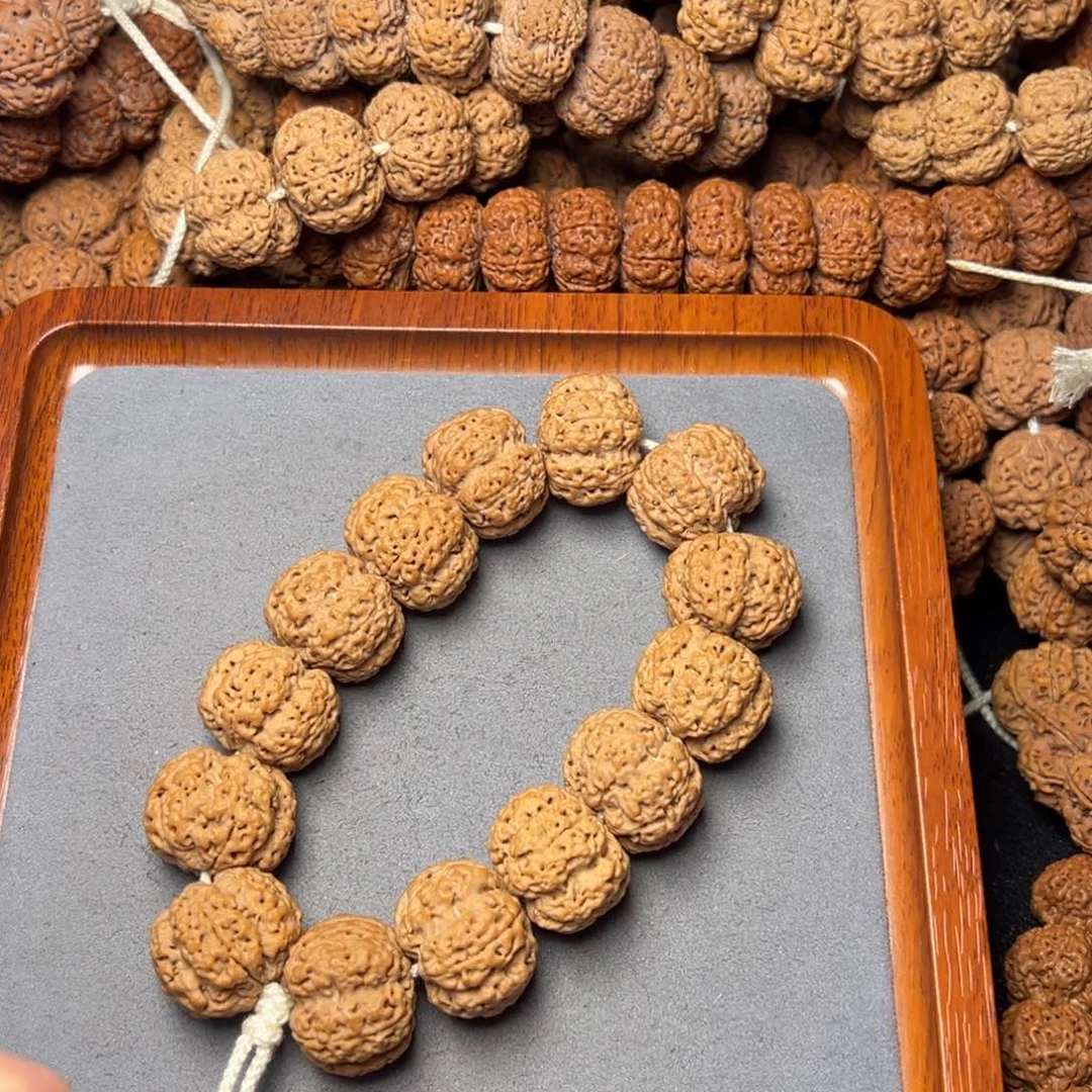 19号尼泊尔大金刚25粗筋梅花双龙梁